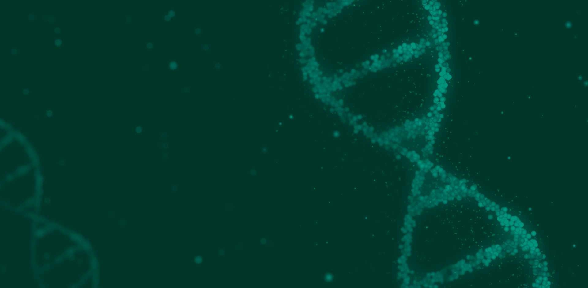 Peptides Peptides